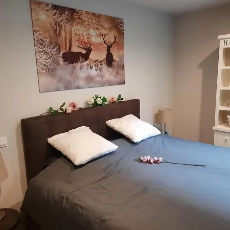 Lectus Iv Apartamento
